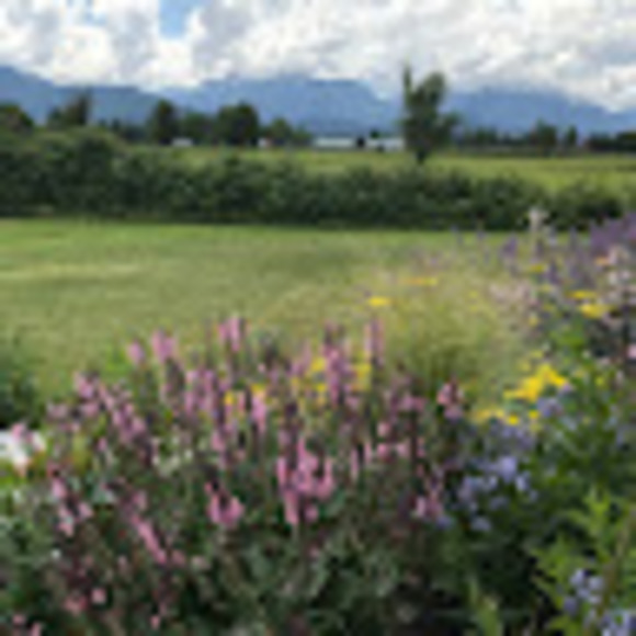 Meet your Posher, Michelle - Picture 1 of 1